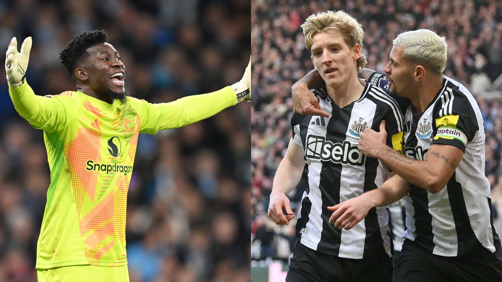 更能触摸到 更能触摸到