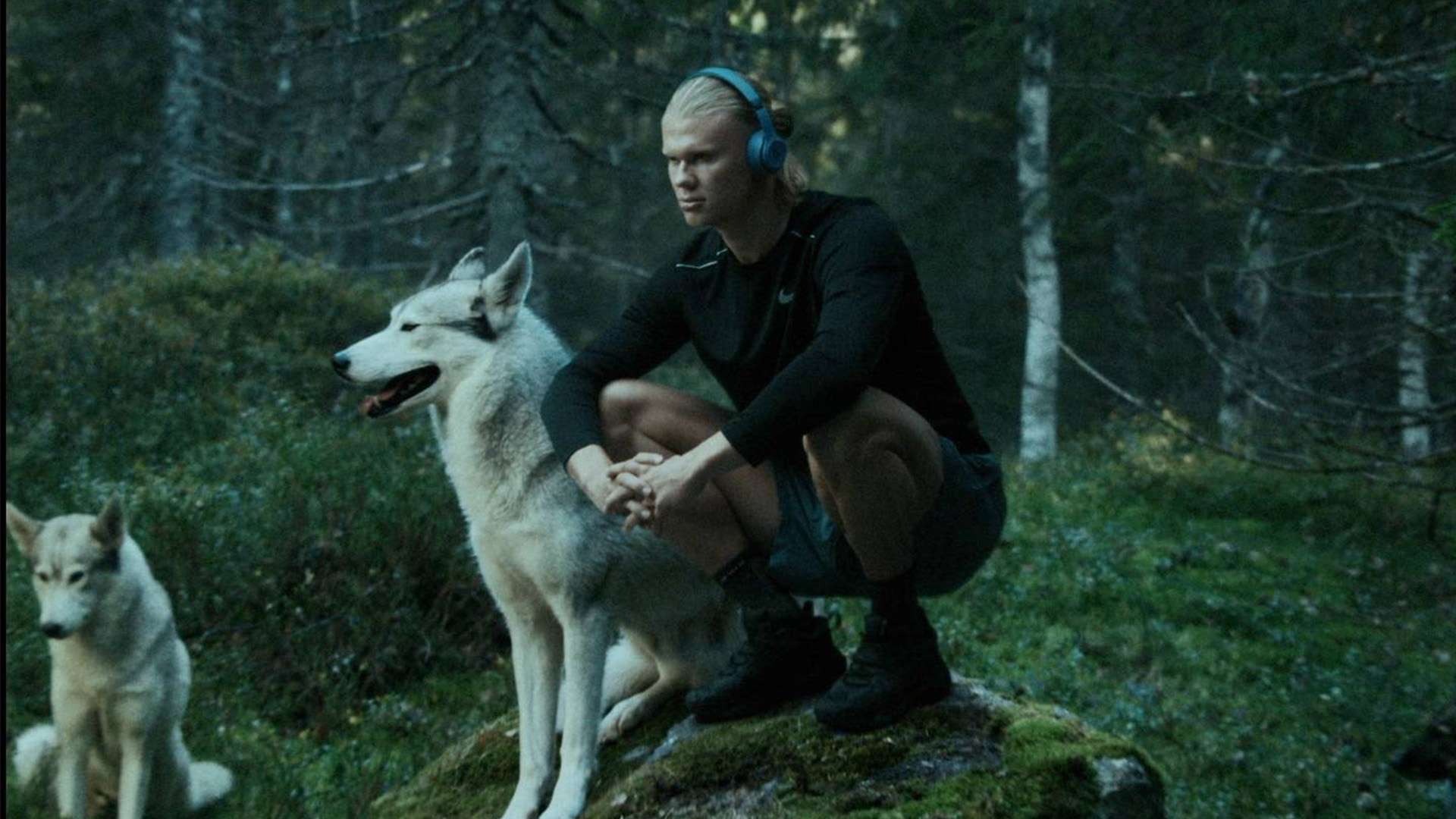 一个具有竞 一个具有竞